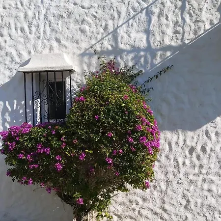 Apartment Benamara Gardens, With Pool, 100m From Near Marbella & Estepona